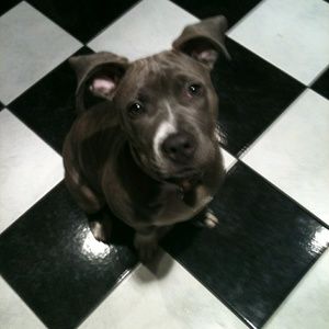 Meet your Posher, Jeanne